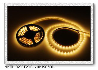 LED strip light series 5050SMD 12MMPCB 60pcs smd leds/meter